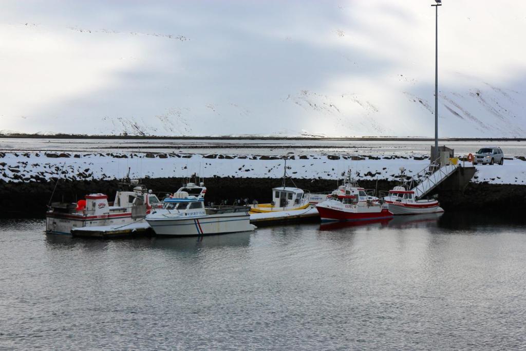 Comfy Guesthouse Westfjords Sudureyri エクステリア 写真
